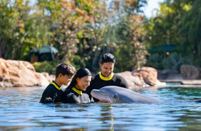 Dolphin Lagoon