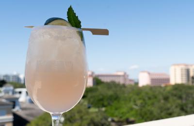 Birchwood Canopy Happy Hour