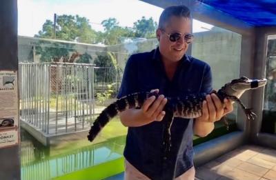 Come hold an Alligator!