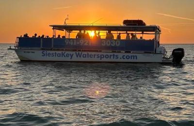 Dolphin sunset cruises in Siesta Key