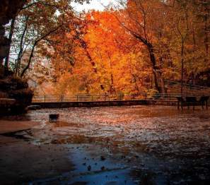 Fall time photo of Dunbar Cave State Park