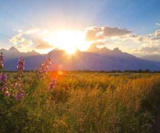 Summer Teton View