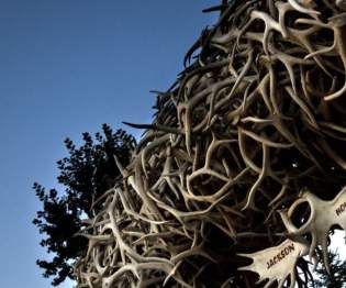 Antler Arch