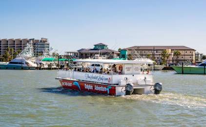 dolphin adventure scarlet lady