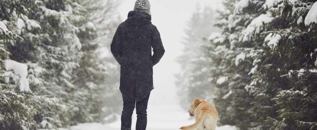 A woman walks alongside a golden retriever dog, through snow covered pines and path.