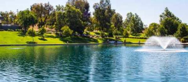 The duck pond during the day