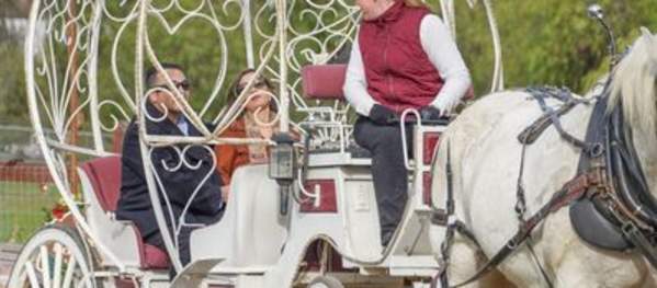 Temecula Carriage Company