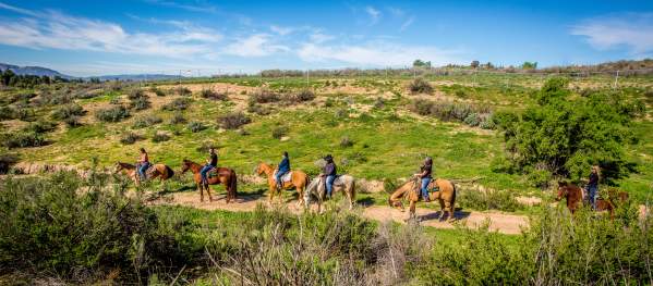 Group Horseback Riding