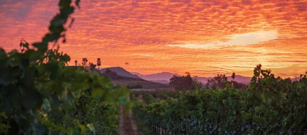 Temecula Valley Press Releases