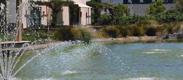 The pond and fountain at Ponte Winery