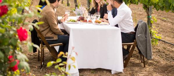 A group of people sits and enjoys a meal in the middle of a vineyard