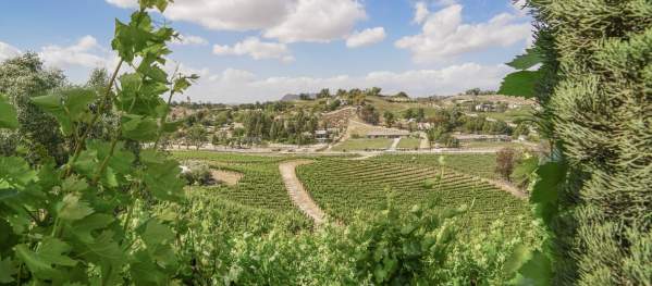 Winery Map