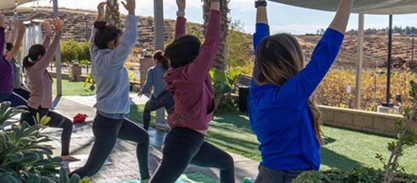 People Enjoying Yoga at Akash