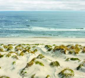 beach sand lifesaving