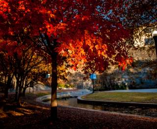 Best Places to See Huntsville’s Fall Colors and Take Amazing Photos