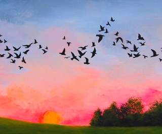 Birding And The Art It Inspires