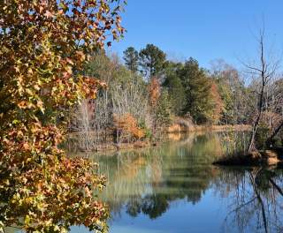 Find Fall Beauty at Hays Nature Preserve & Goldsmith-Schiffman Wildlife Sanctuary