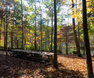 Take a winter hike on the Madison County Nature Trail on Green Mountain