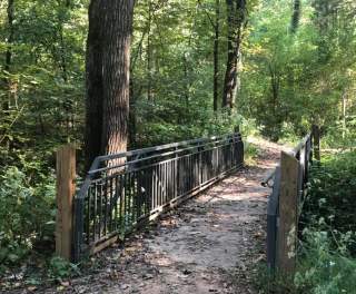 Wheelchair-Friendly Hikes in Huntsville: Chapman Mountain