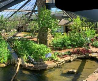 Discover the Purdy Butterfly House at the Huntsville Botanical Garden