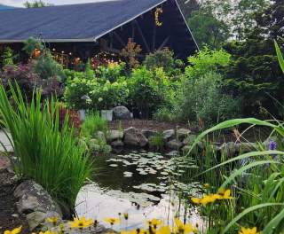 A pond in a garden with a rustic cabin in the background