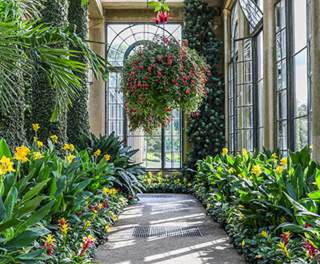 Interior of a conservatory with a potted plant hanging down from the ceiling