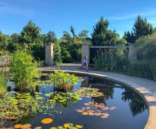 A child running around a small pond with lily pads