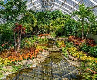 Interior of a conservatory with luscious greenery and florals