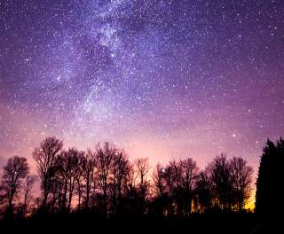 starry night