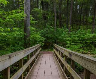 Pocono Mountains