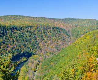 Tioga County