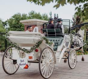 Wedding carriage