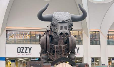 Only Here Ozzy Bull Cap 2