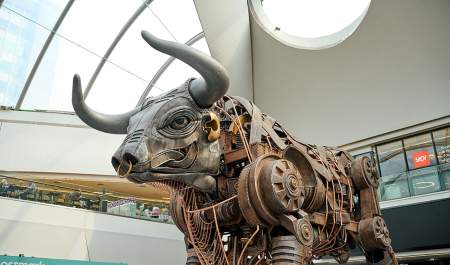 Ozzy the Bull