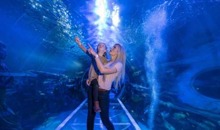 A woman and child point in wonder at the aquatic animals in a walk-through aquarium at the Sea Life Centre in Birmingham