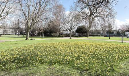 Montpellier Gardens