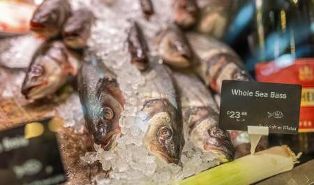 Seabass on ice at the fishmongers