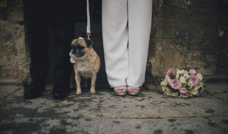 The legs and feet of a bride and groom, as they stand by a wall with a pug dog, wearing a bow. The bride's wedding bouquet lies on the floor next to her feet.