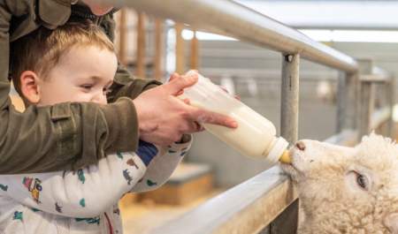 Cotswold Farm Park