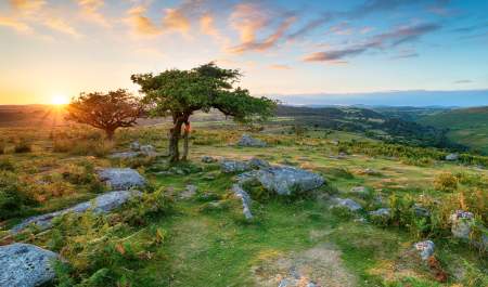 dartmoor blog