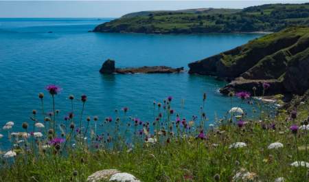 Berry Head English Riviera Geopark