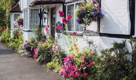 entrance to a white washed cottage with flowers planted at the front