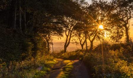 Visit Honiton nestled in nature