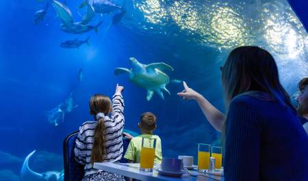 Family at national marine aquarium