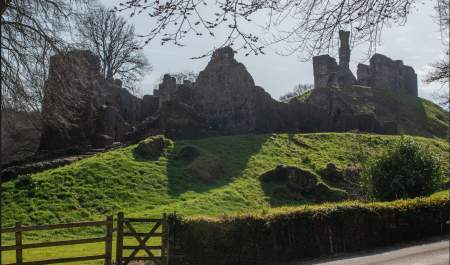 Ruins of an ancient stone castle sit atop a grassy hill under a clear blue sky. Bare tree branches frame the scene, evoking a sense of history and solitude.