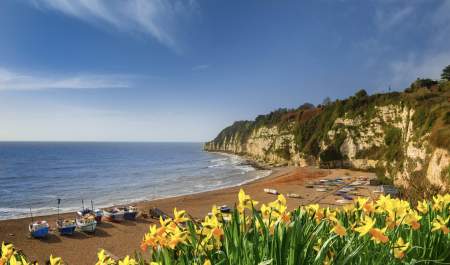 Spring in Devon