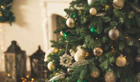 Christmas Special Offers