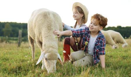 Two smiling children, a boy and a girl, pet a sheep in a sunny field. The girl in a straw hat kneels, while the boy, in plaid, reaches out joyfully.