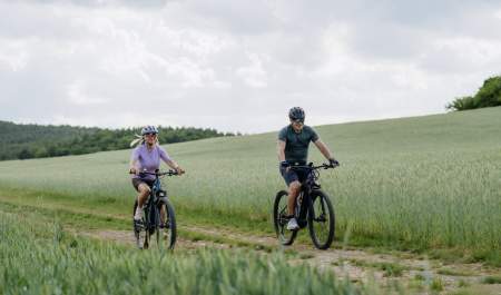 activities in the tamar valley