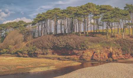 Visit Budleigh reconnect with nature